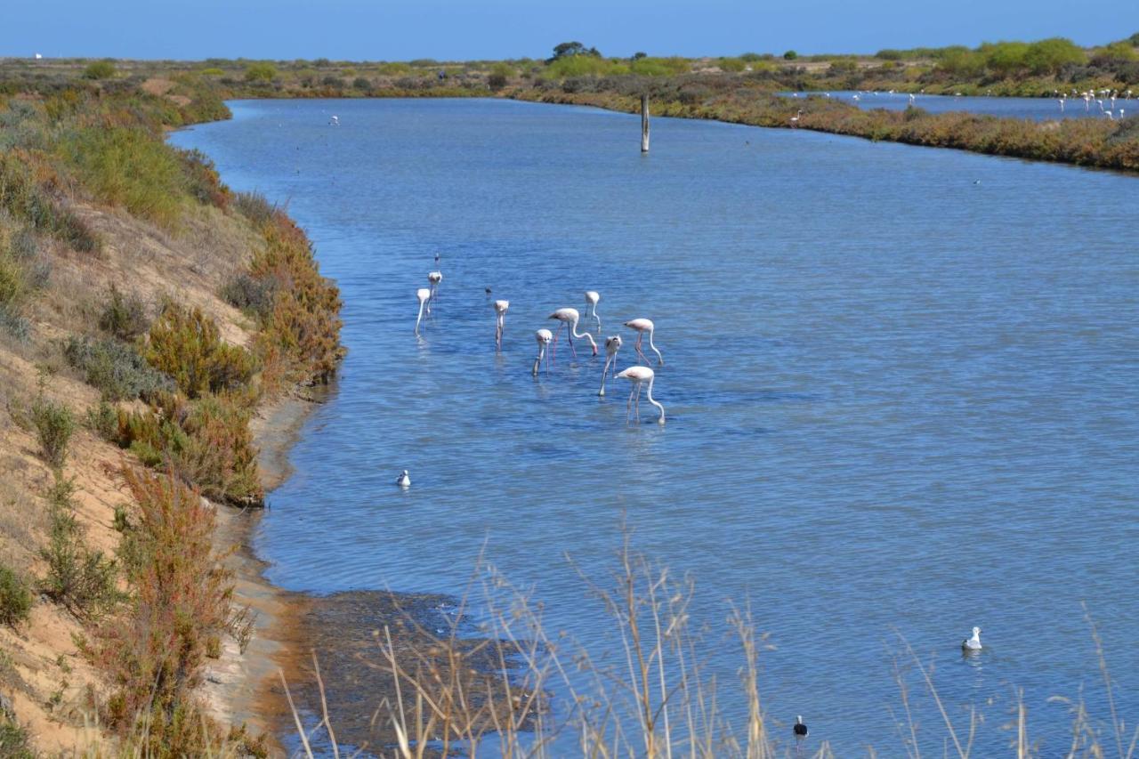 Appartamento Casinha Secreta - A Gema Escondida Da Santa Luzia Santa Luzia  Esterno foto